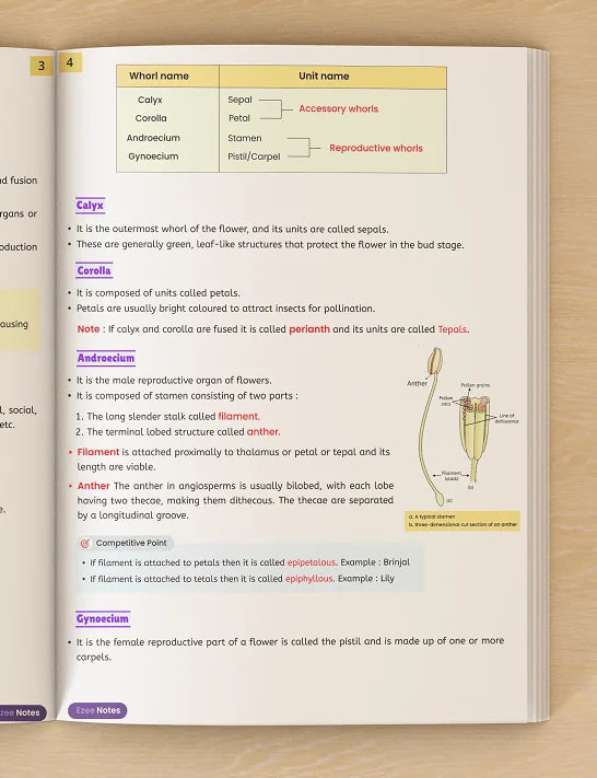 Biology Ezee Notes – Class 11 and 12