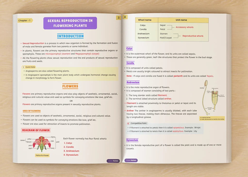 Physics + Biology Ezee Notes – Class 12