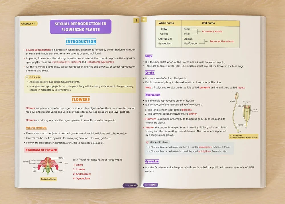 An open spread from the notes